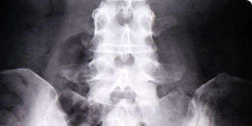 特徴03のイメージ画像